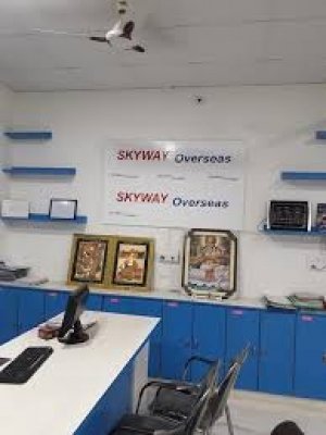 Skyway Overseas